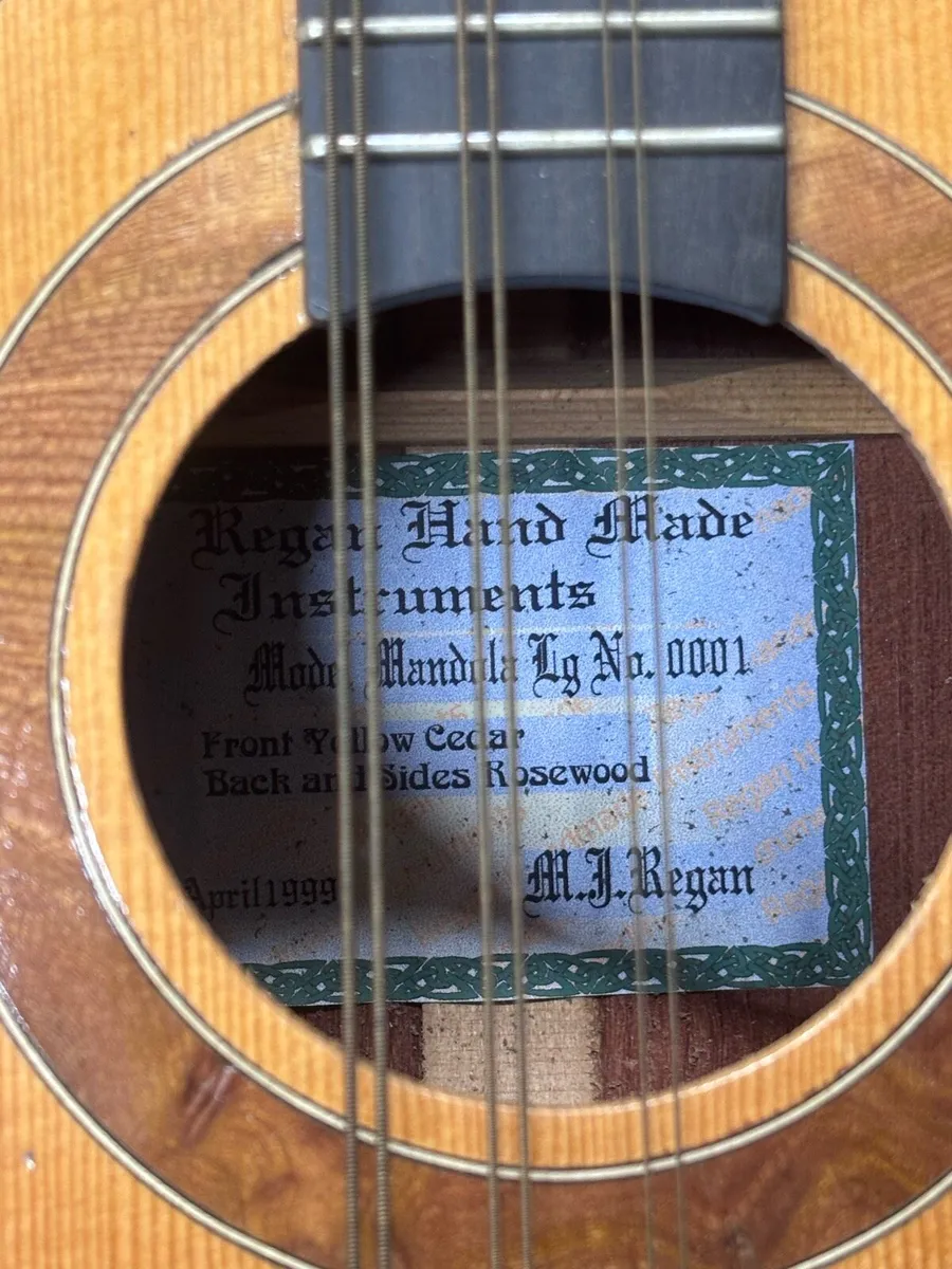 Handmade Irish Mandola - Image 2
