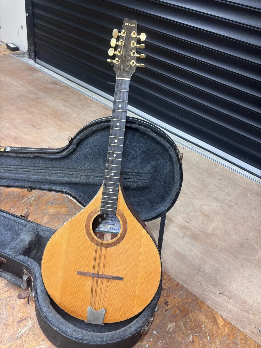 Handmade Irish Mandola - Image 3