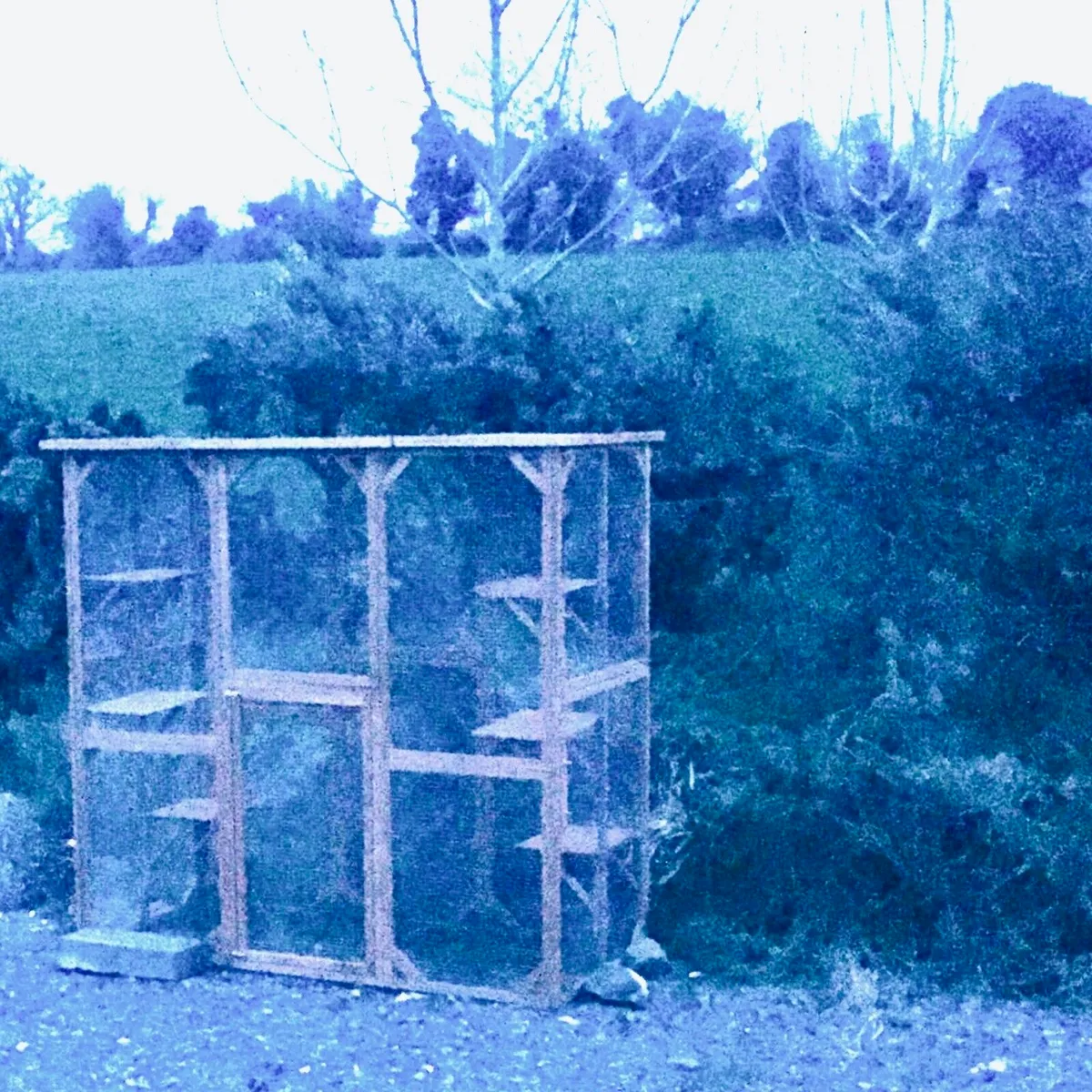 Outdoor Cat Enclosure - Image 2