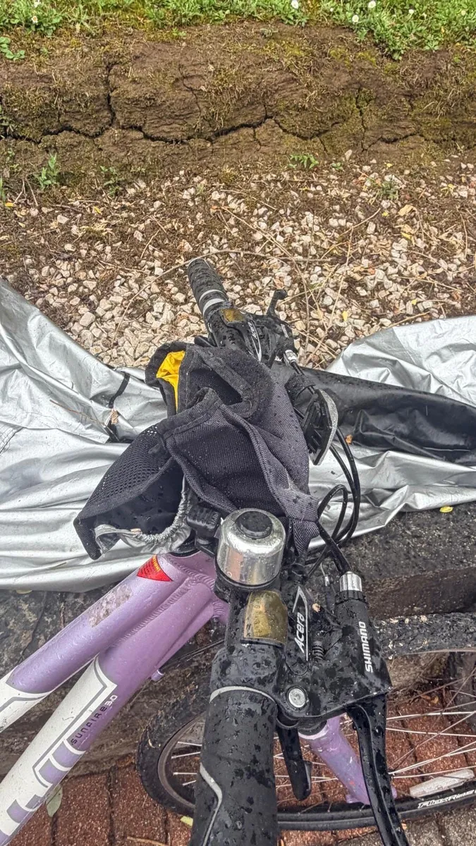 Bike - Image 2