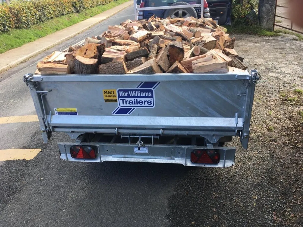 Firewood - Image 3