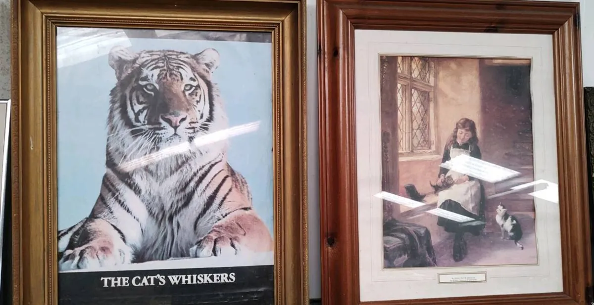 FRAMED PICTURES. - Image 2