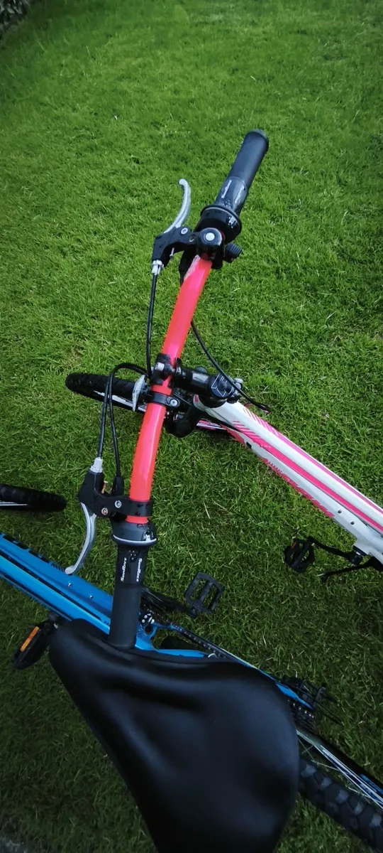 2 Bikes - Image 2