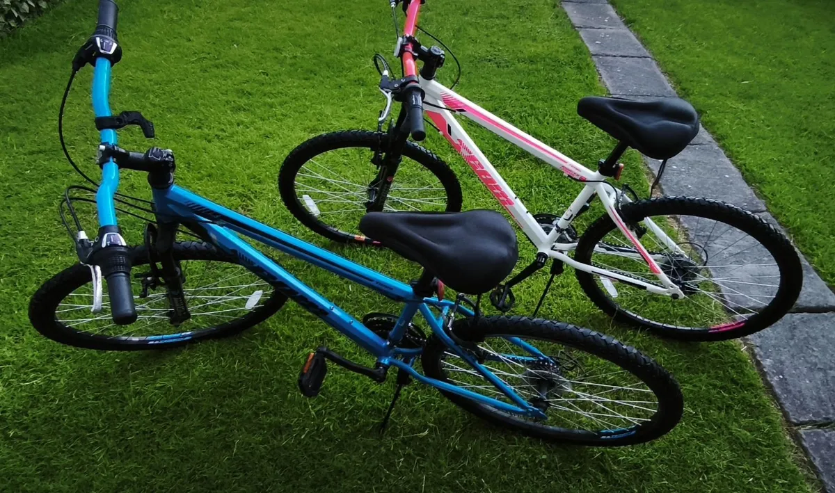 2 Bikes - Image 4