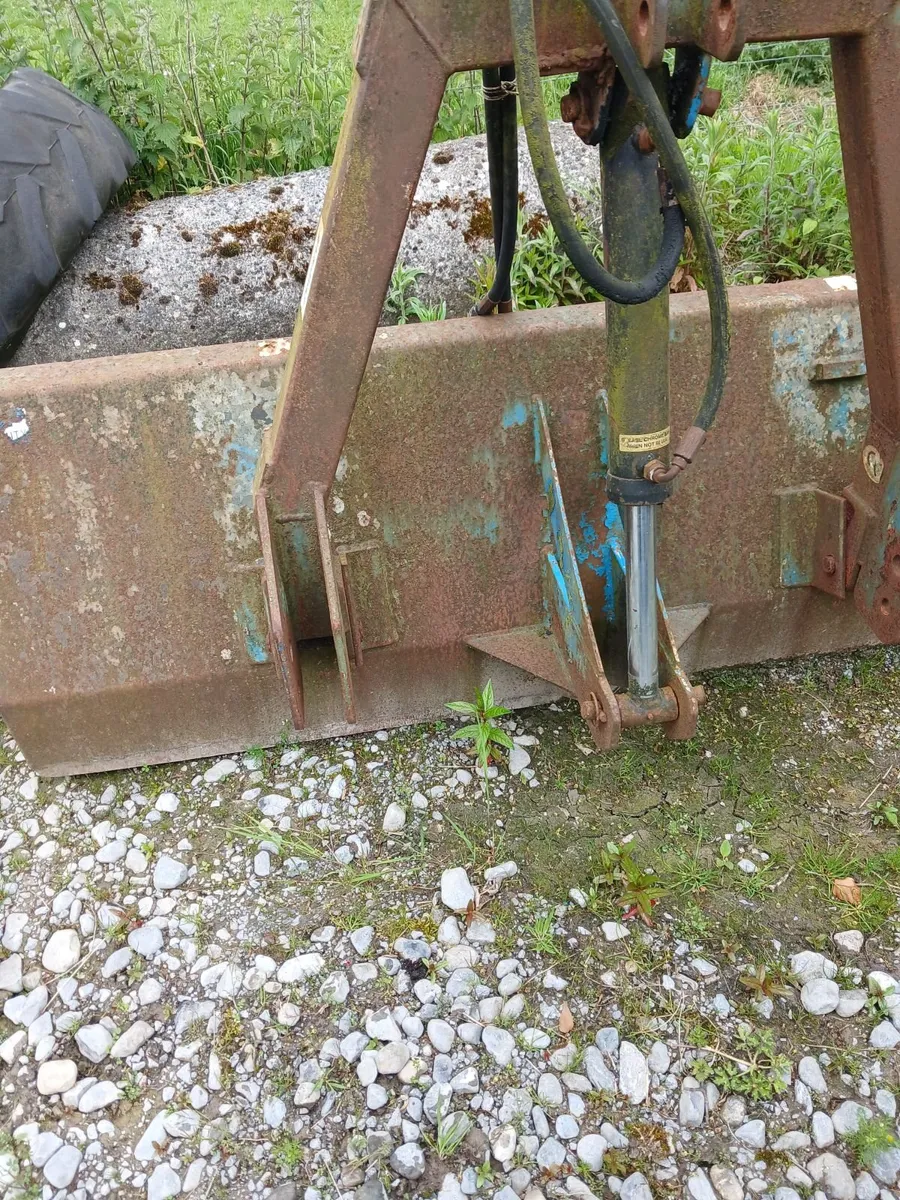 Calf - Image 1