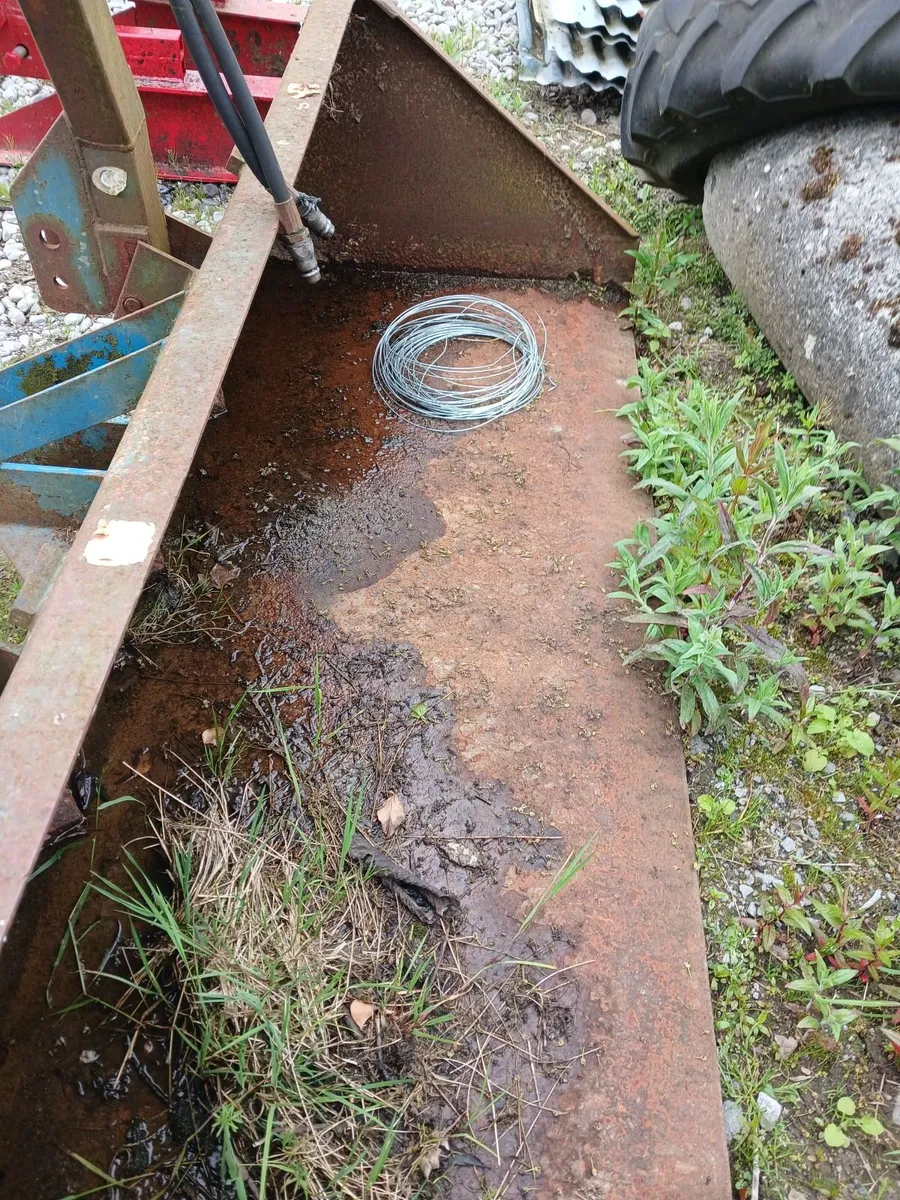 Calf - Image 2