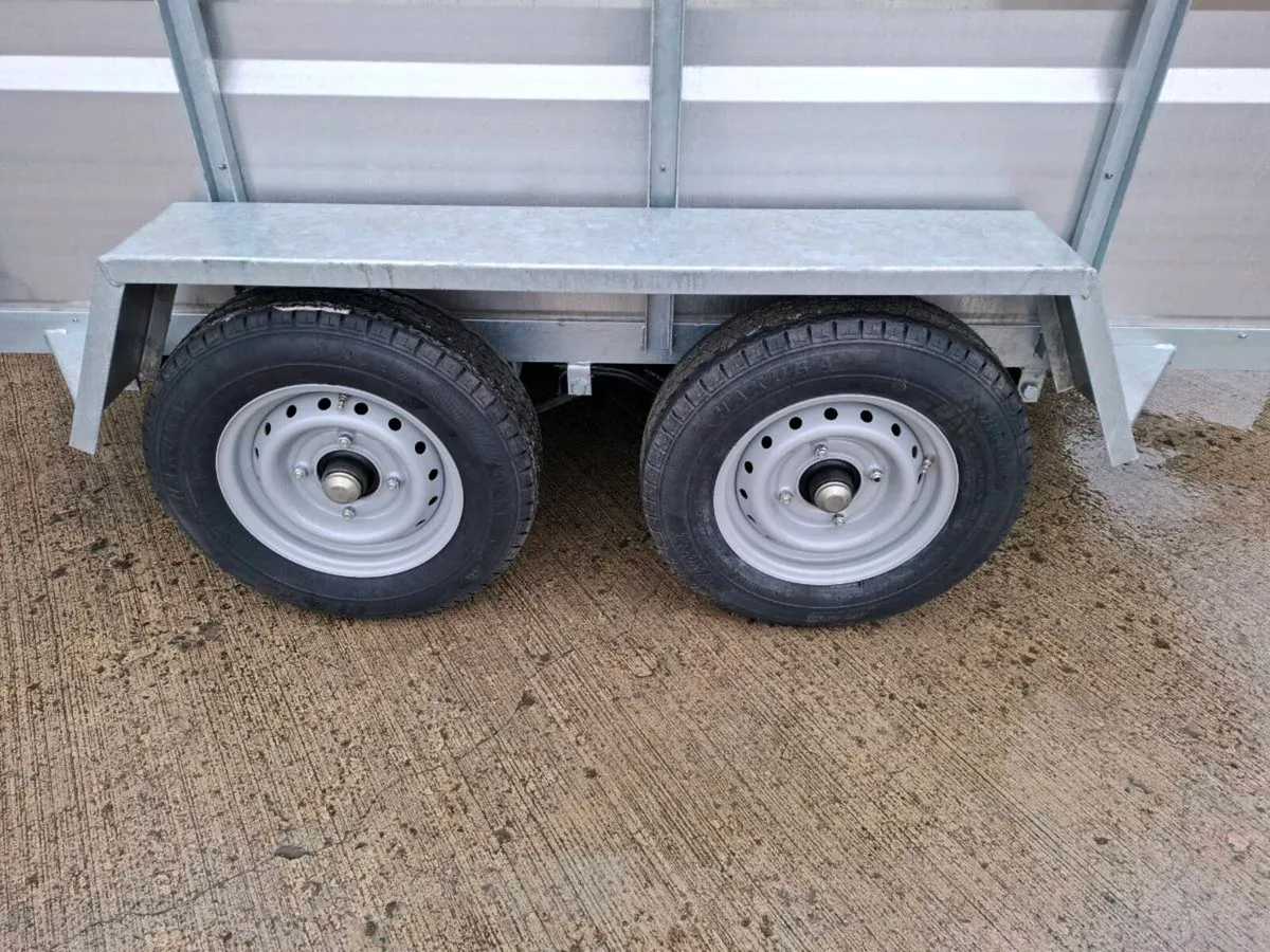New Mc Kelvey 8ft x 5ft sheep trailer - Image 4