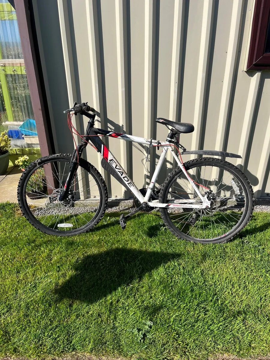 Bikes - Image 1