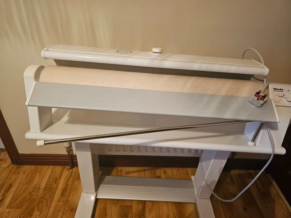 Professional rotary iron - Image 2