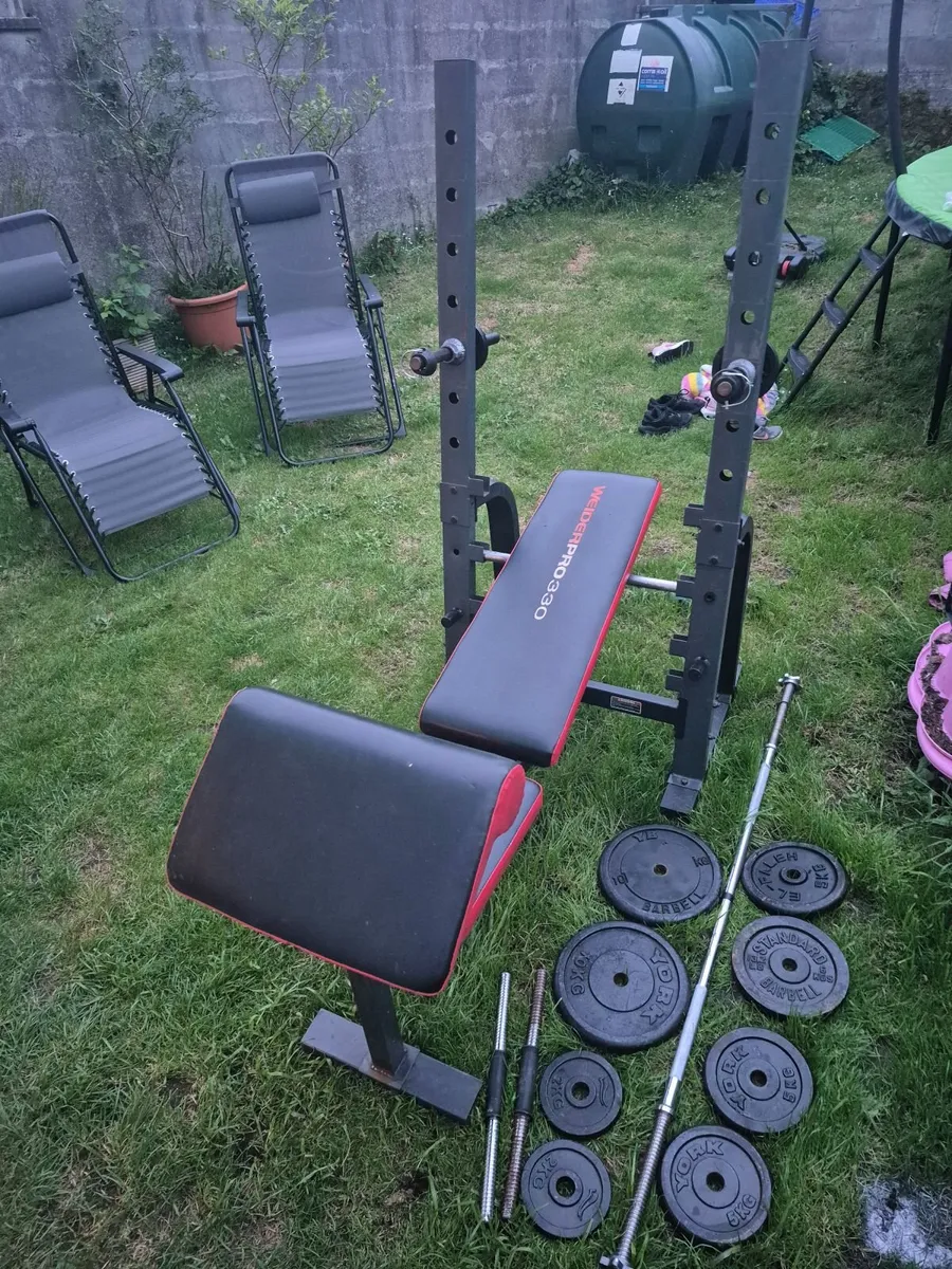 Bench & weights plates