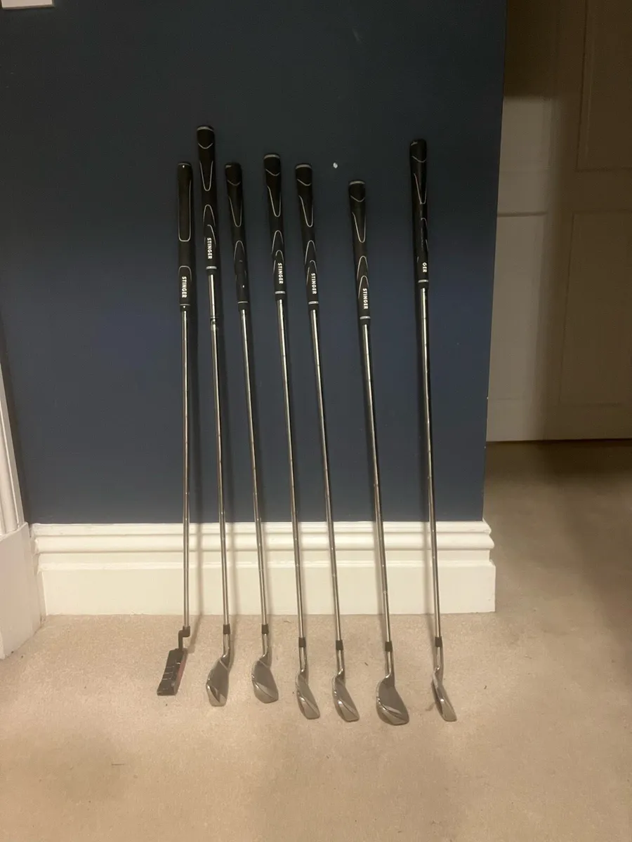 Junior golf set perfect for a starting junior - Image 1