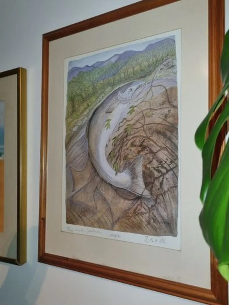 Pauline Bewick - The Irish Salmon - Image 2