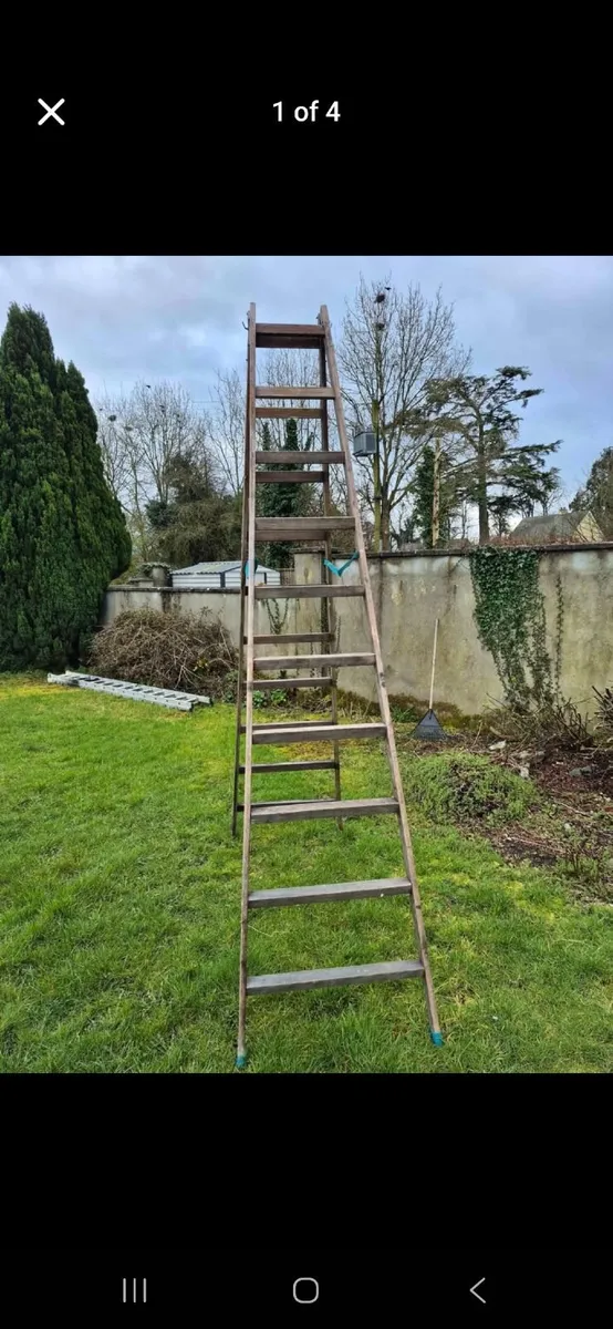 Professional Wooden Painters Ladders – 8ft & 10ft - Image 1