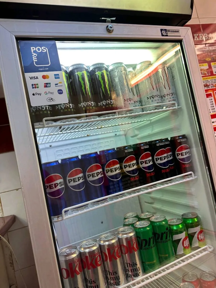 Commercial Upright Display Fridge 300L Double Glas - Image 3