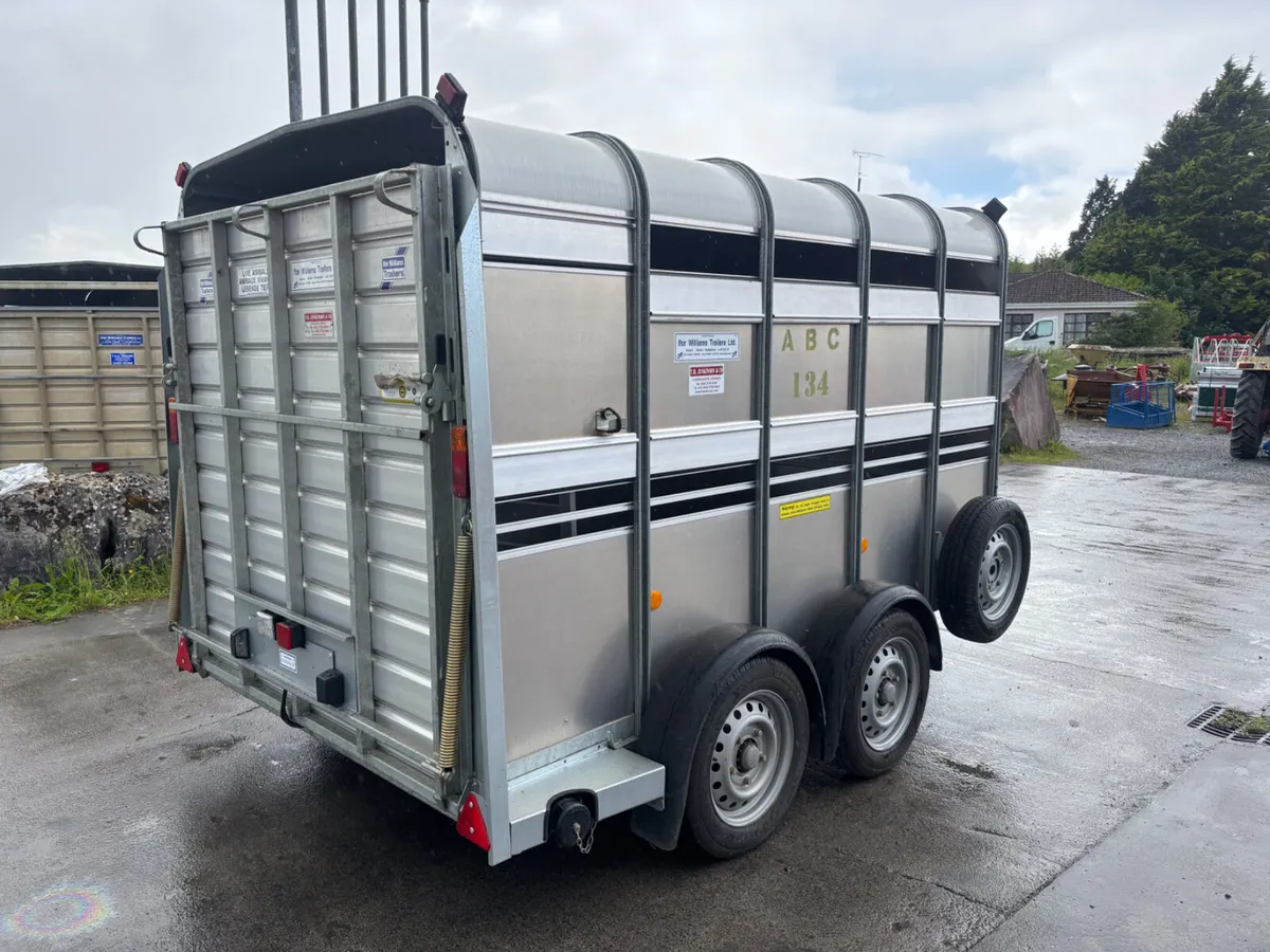 ifor williams ta510 10ft cattle trailer - Image 2