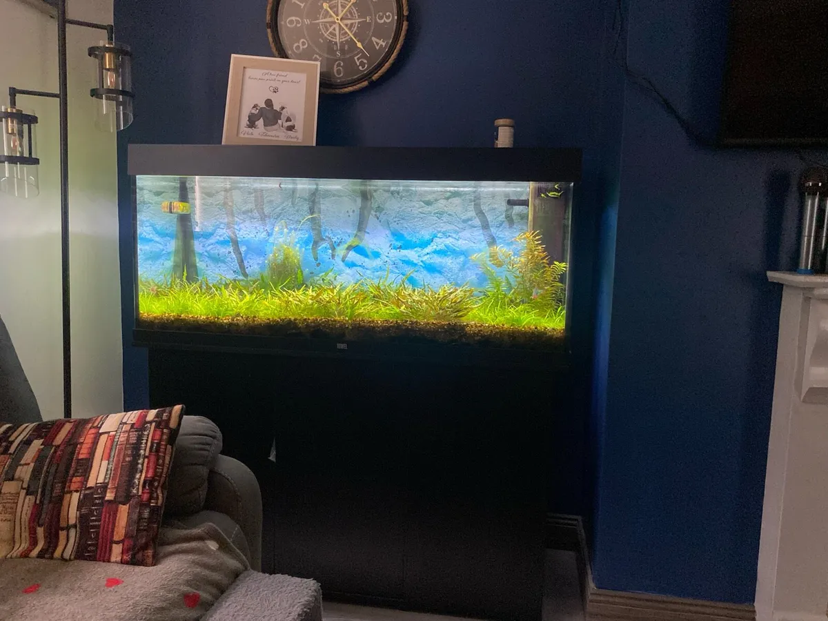 Fish Tank - Image 1