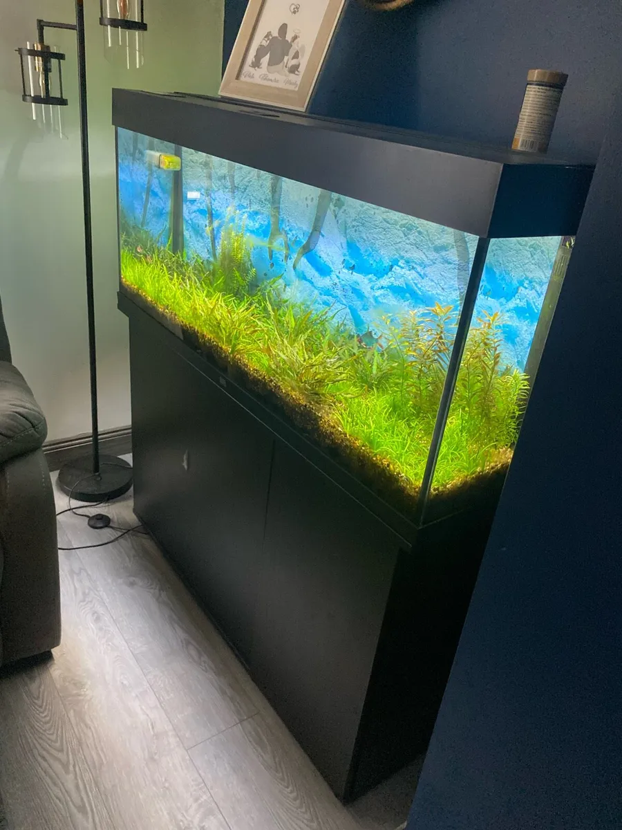 Fish Tank - Image 3