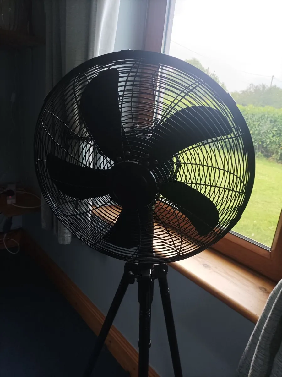 Large fan - Image 1