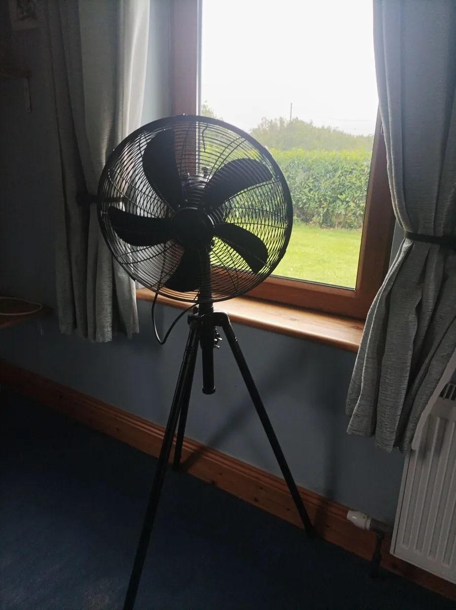Large fan - Image 2