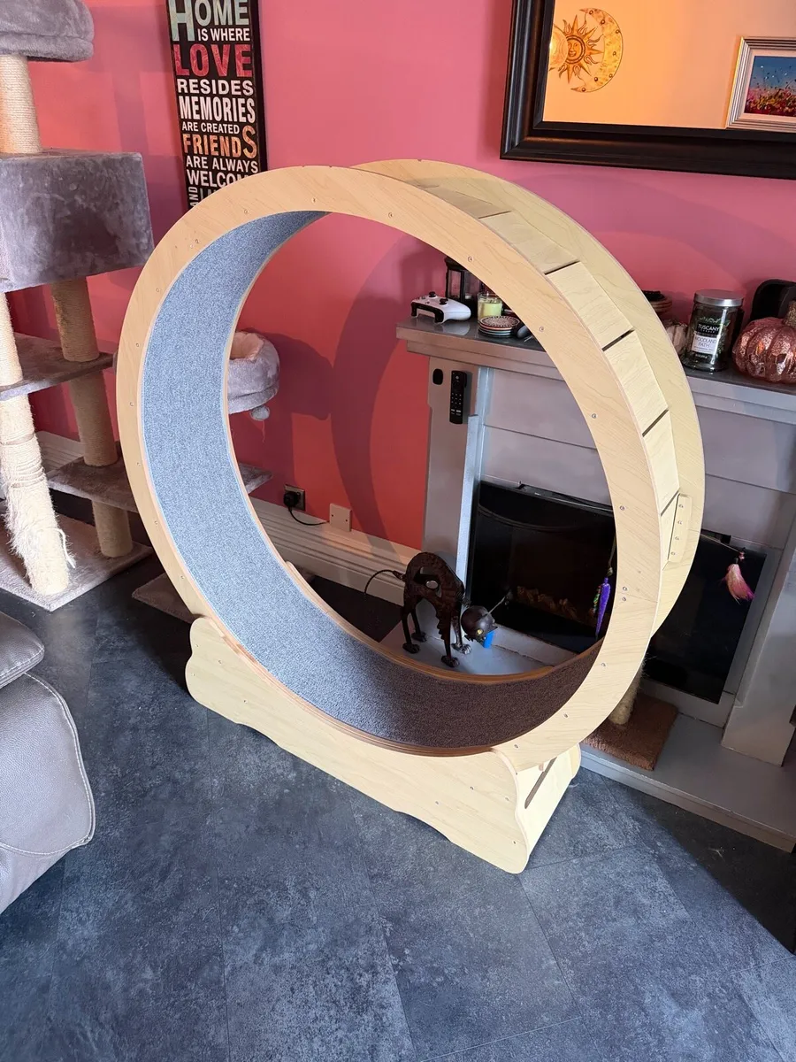 Large Cat Wheel