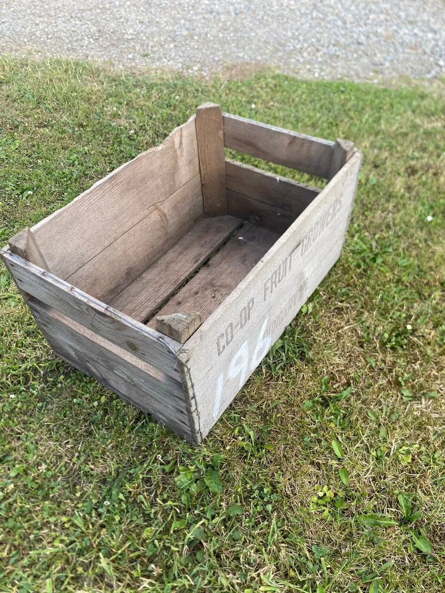 Vintage wooden apple crates - Image 4