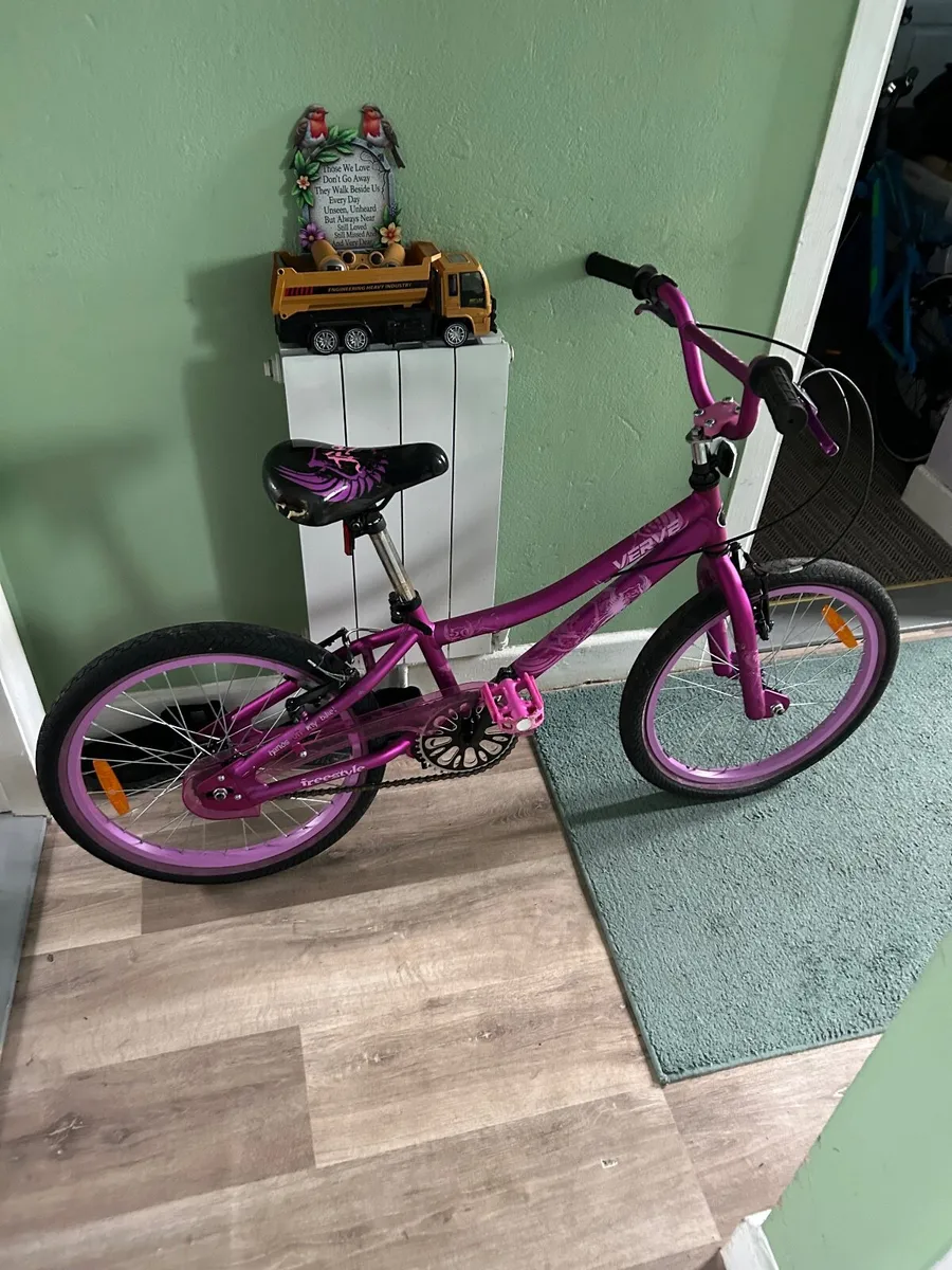 Girl and boys   mountain bikes - Image 2