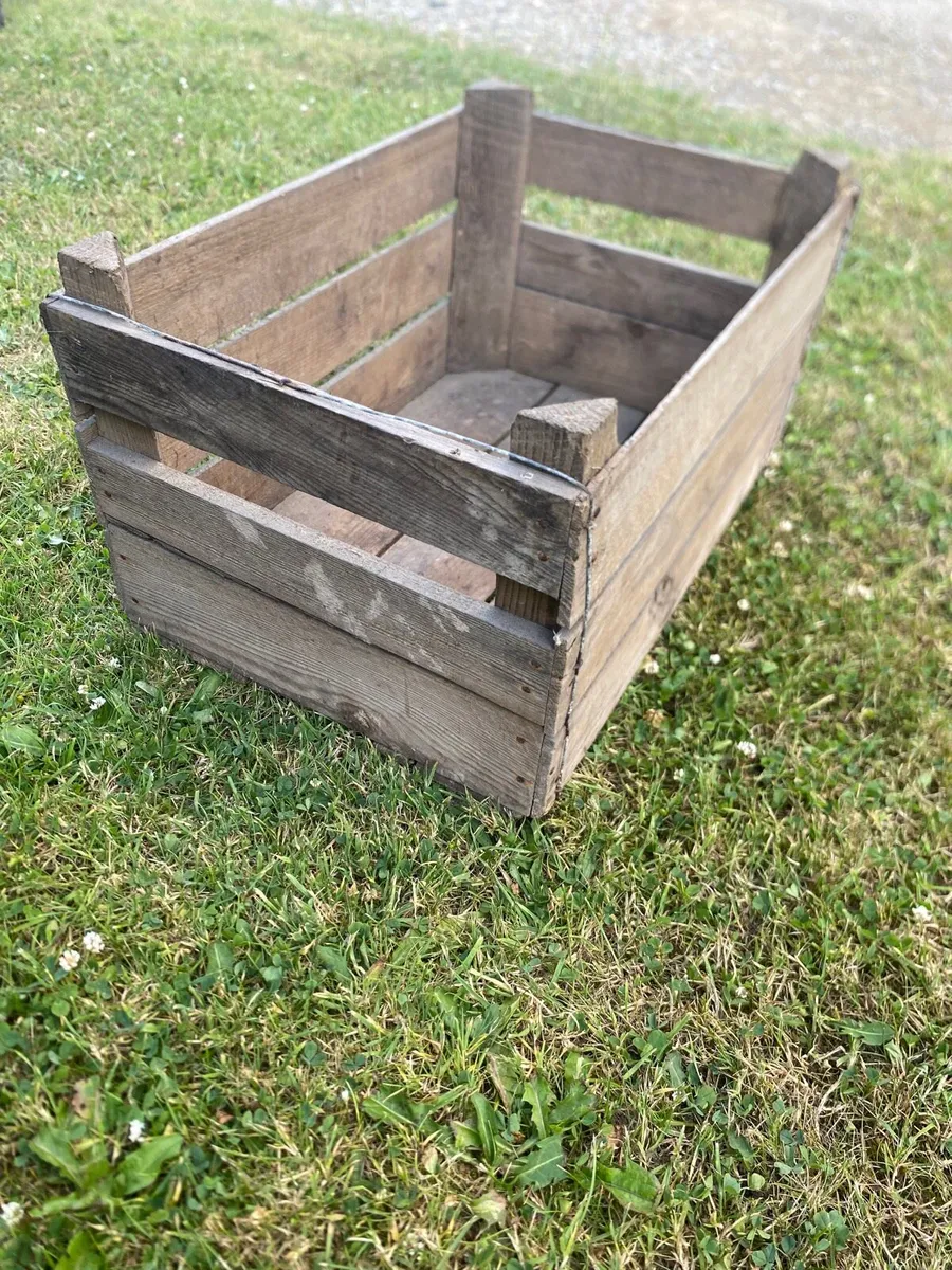 Vintage wooden apple crates - Image 2