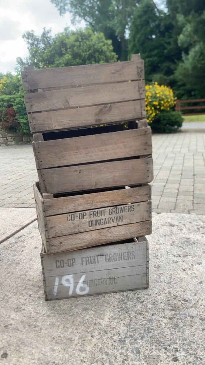 Vintage wooden apple crates - Image 1