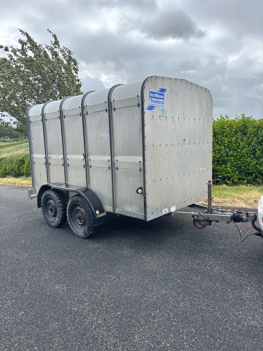 10x6 Ifor williams Cattle/sheep box - Image 1