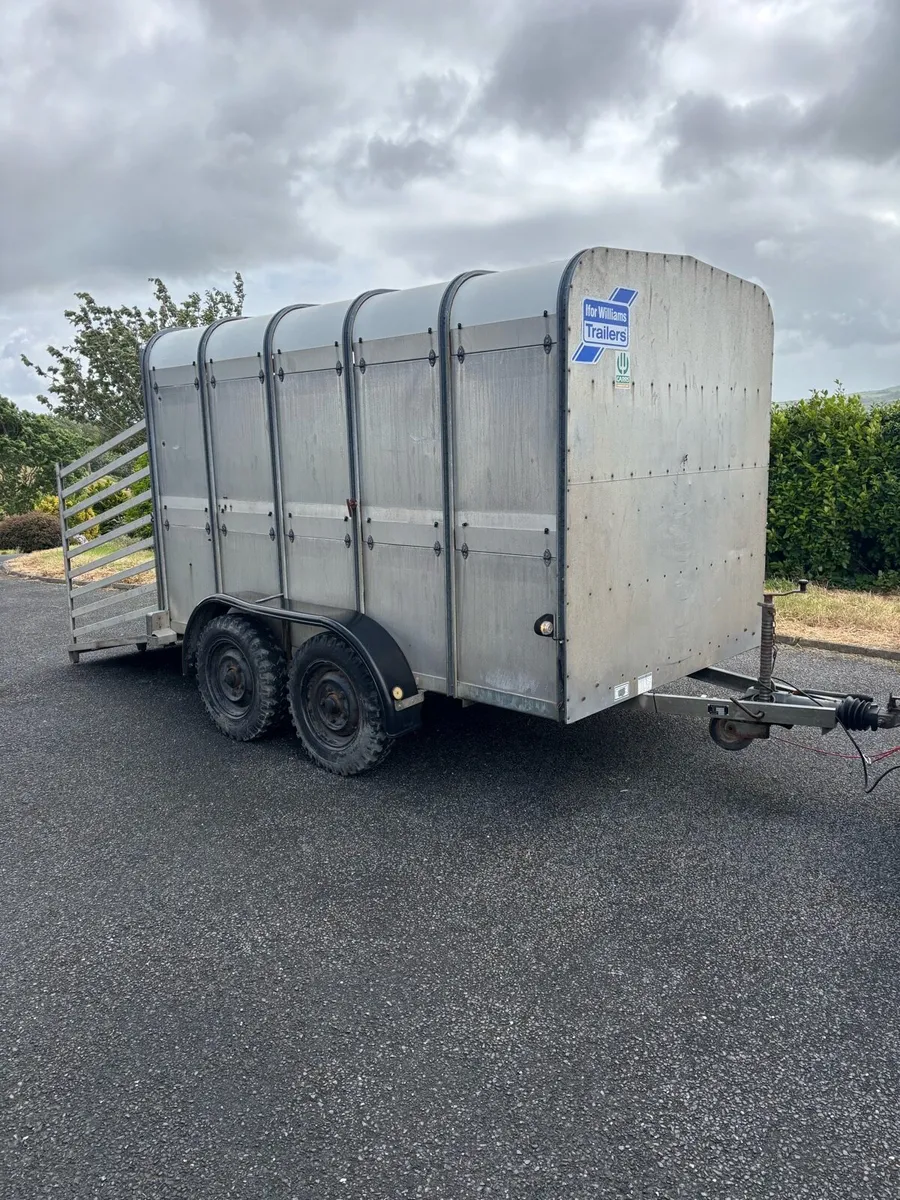 10x6 Ifor williams Cattle/sheep box - Image 2