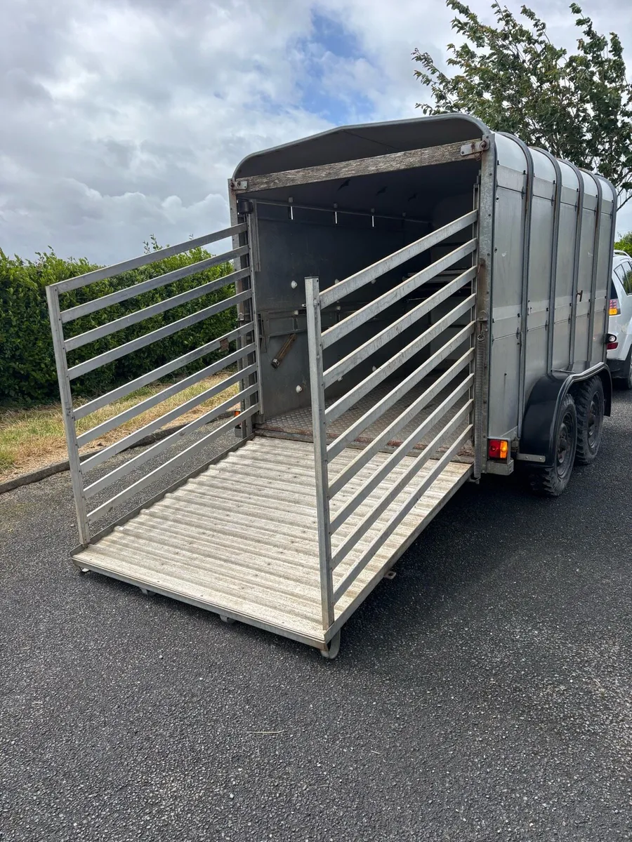 10x6 Ifor williams Cattle/sheep box - Image 3