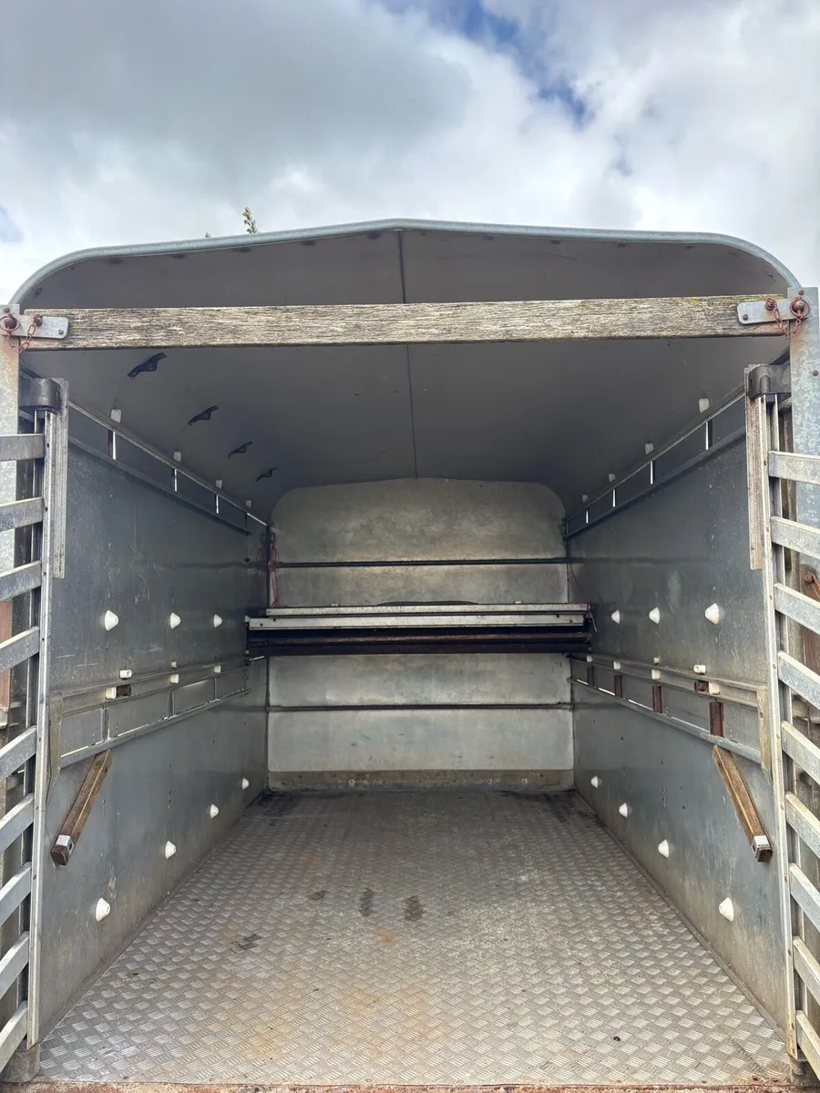 10x6 Ifor williams Cattle/sheep box - Image 4
