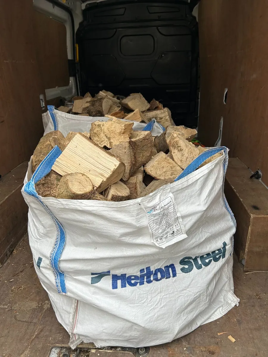 Firewood - Image 1