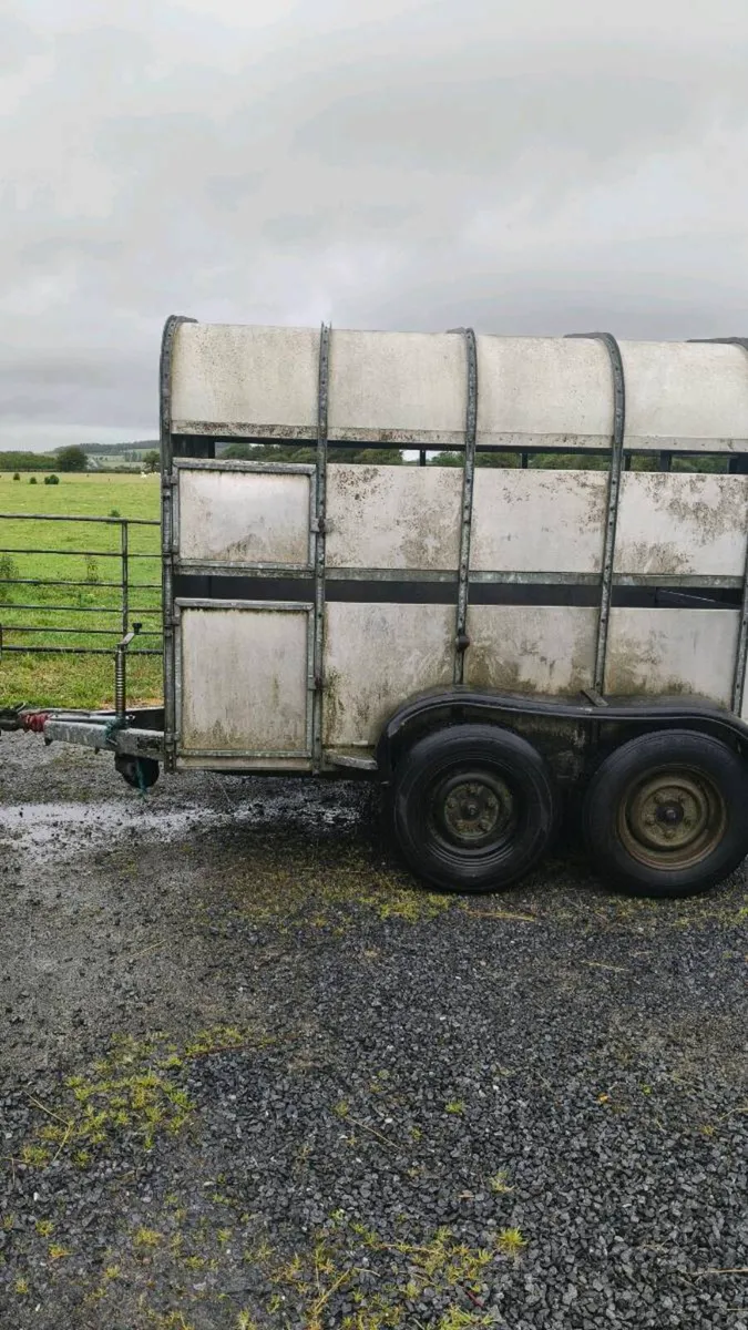 Nugent trailer - Image 1