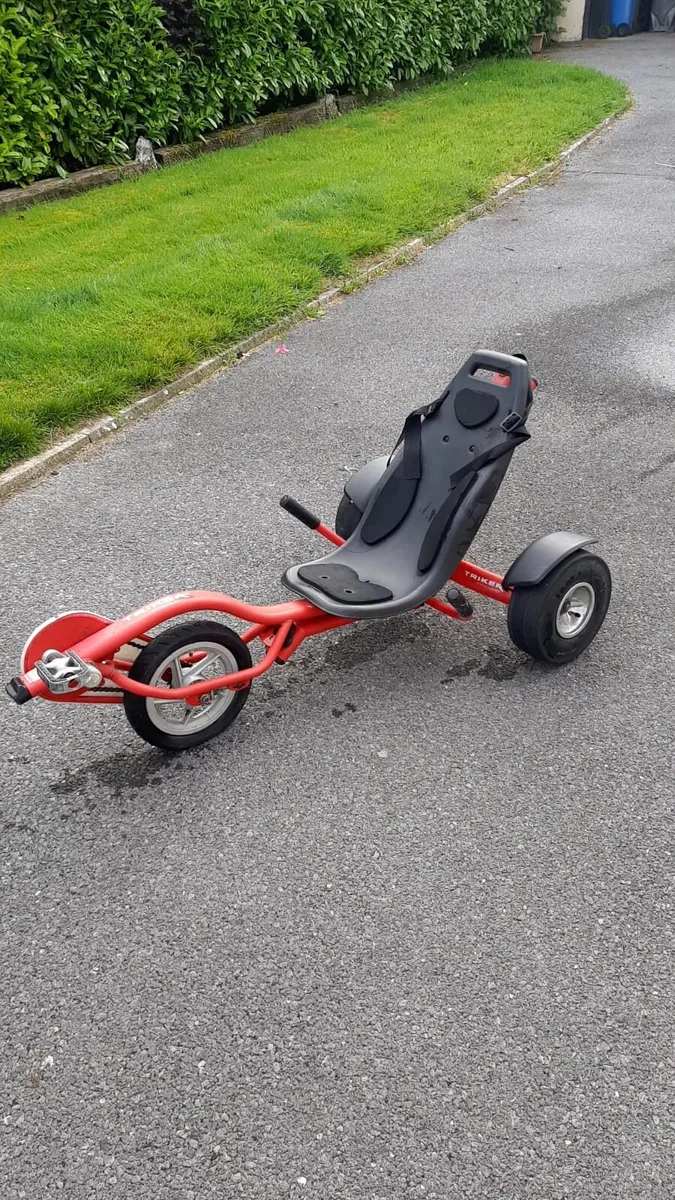 Triker 100 Pro - Image 1