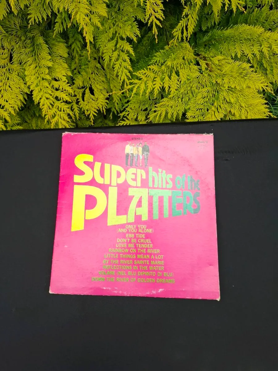 Vinyl lp the platters - Image 1