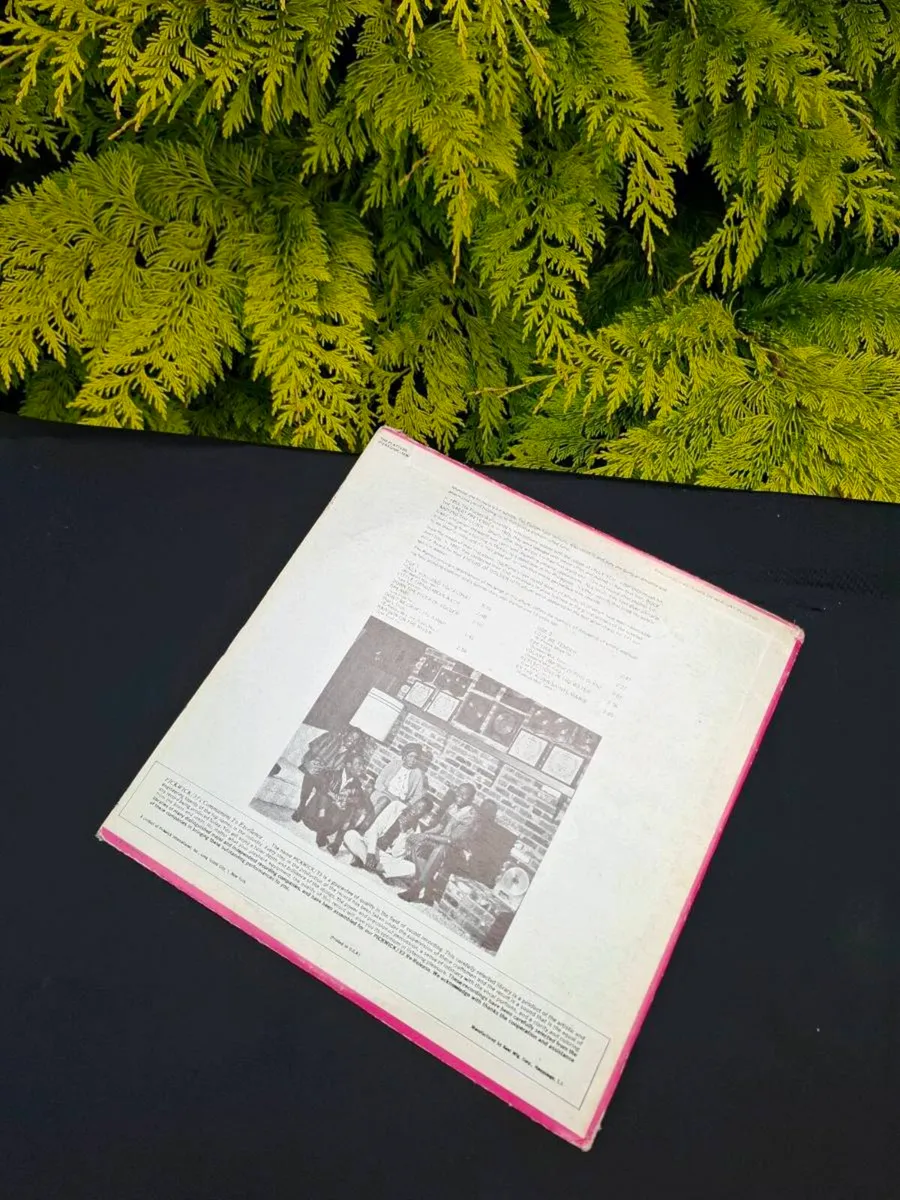 Vinyl lp the platters - Image 2