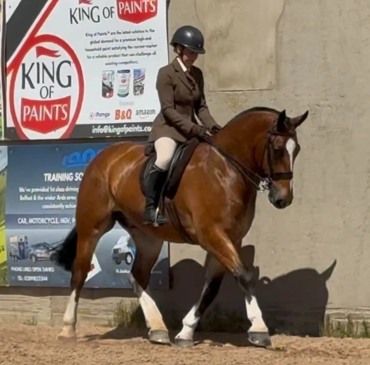 Novice Maxi Cob - Image 3