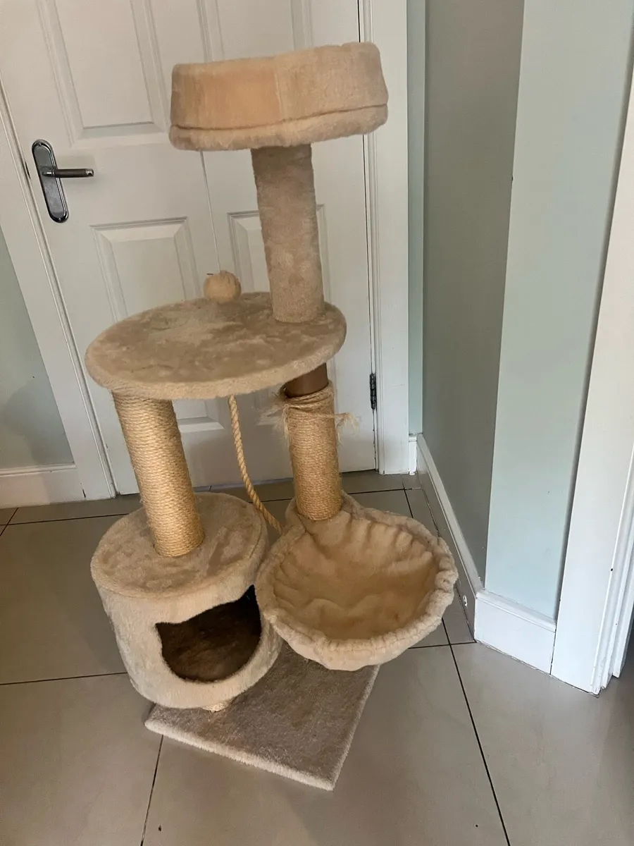 Cat Scratcher