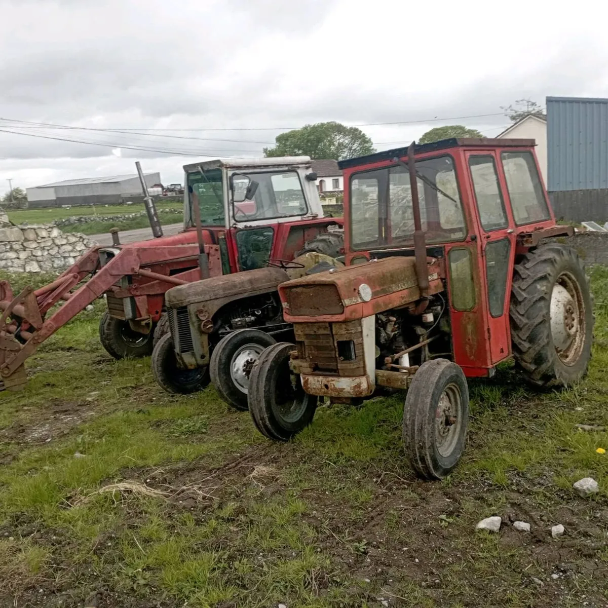 Massey Ferguson 135.590 with books .20.and dexta - Image 1