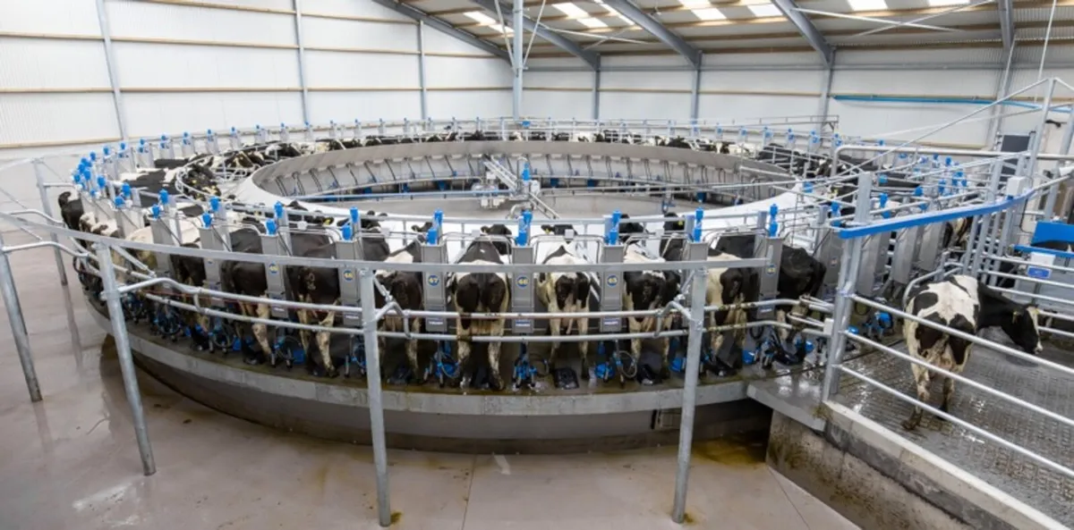 2 Relief milkers available Father and Son - Image 2
