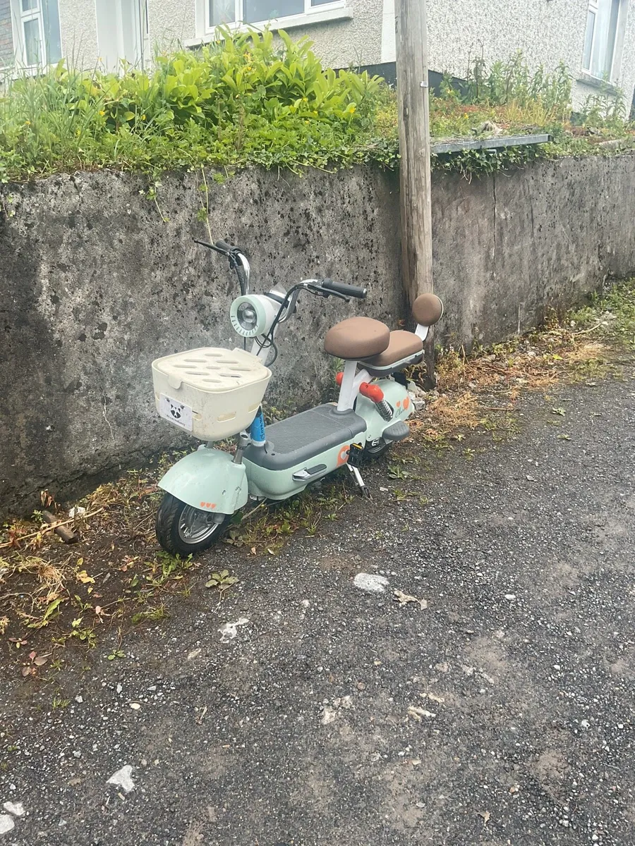E bike - Image 3
