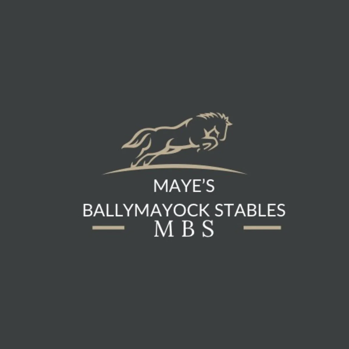 Top quality horses and ponies - Image 1