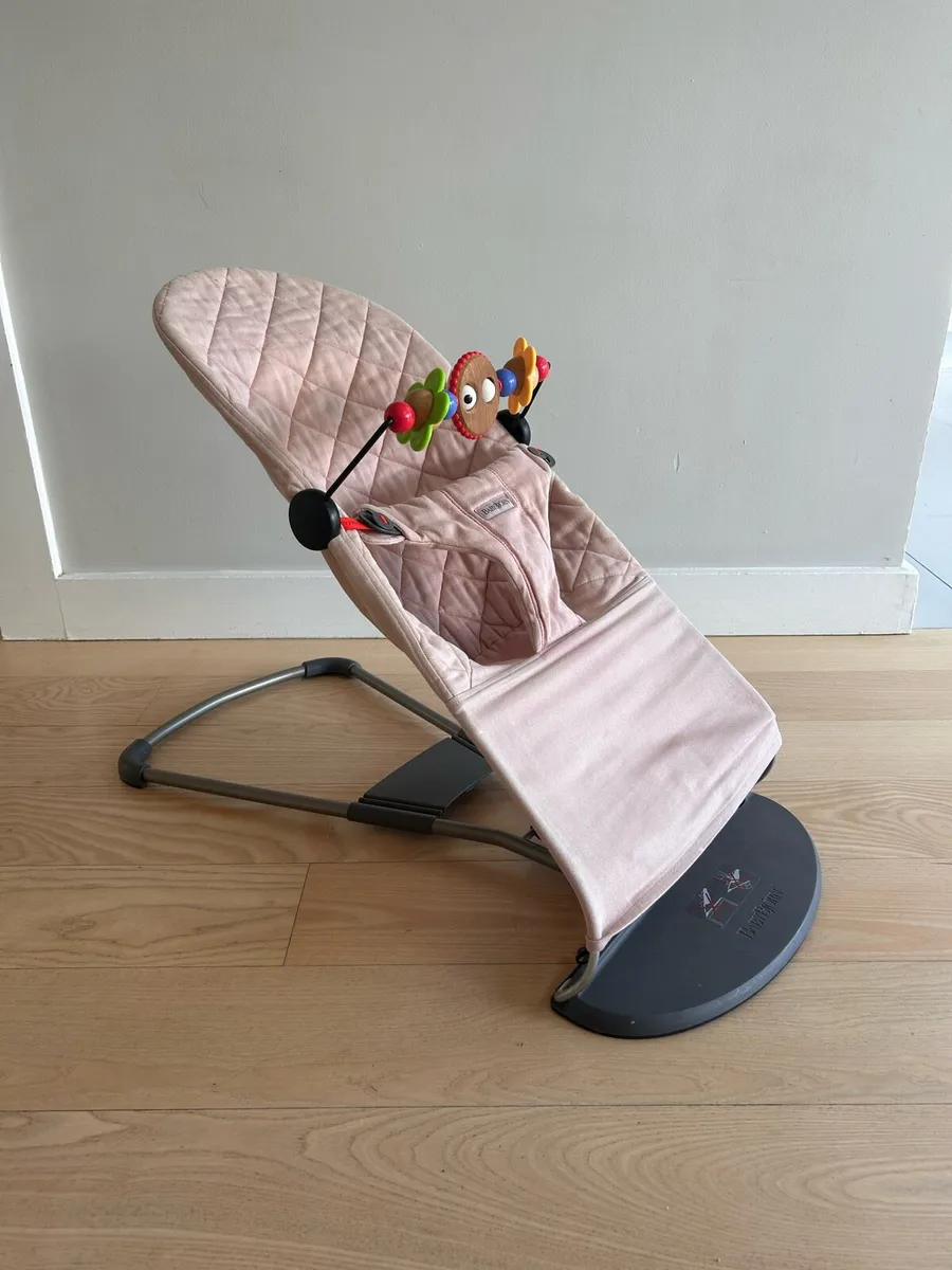 Baby Bjorn Bouncer - Image 1