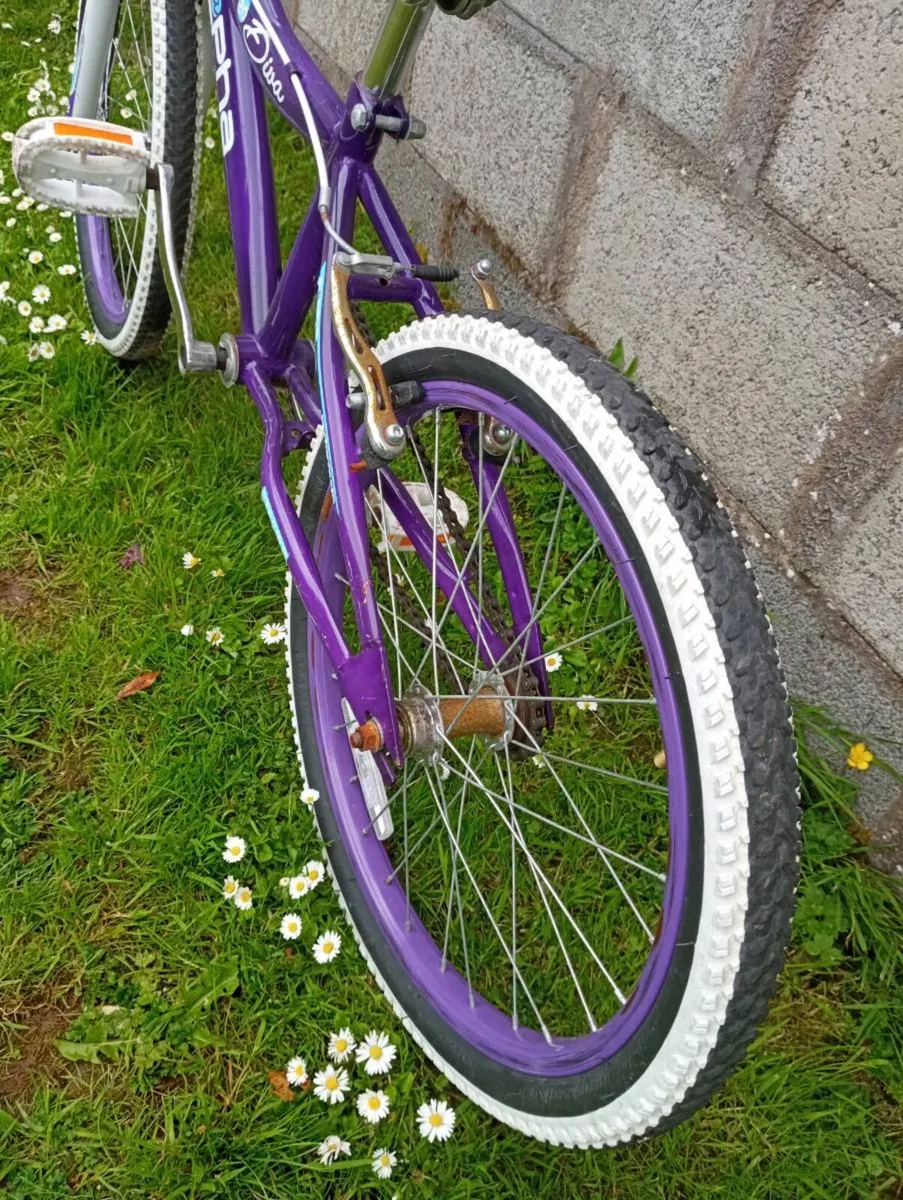 Girls bicycle 20 inch wheel near new condition - Image 4