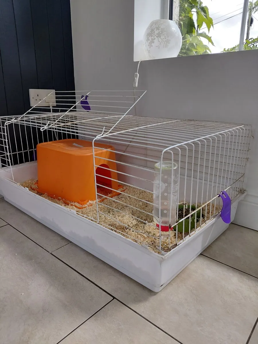 Large guinea pig cage - Image 1