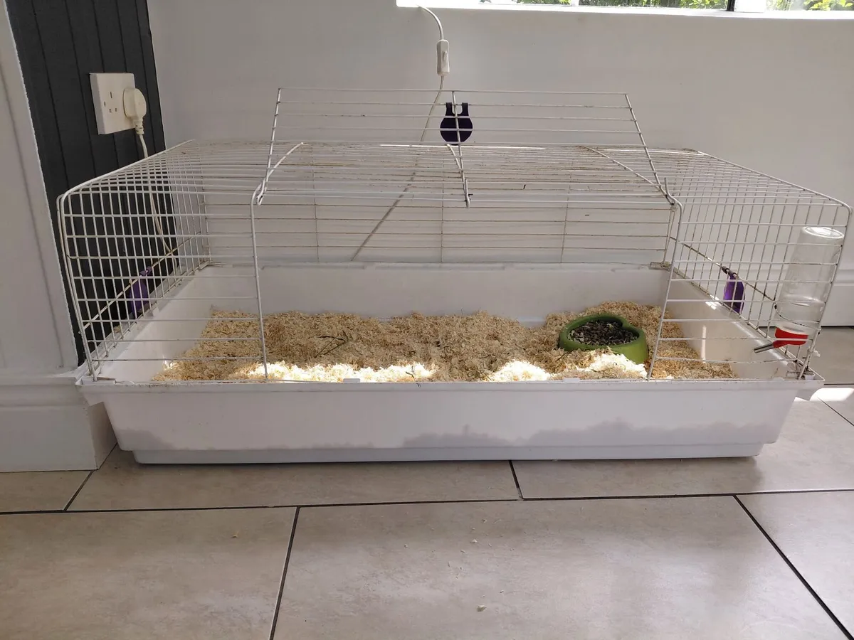 Large guinea pig cage - Image 2