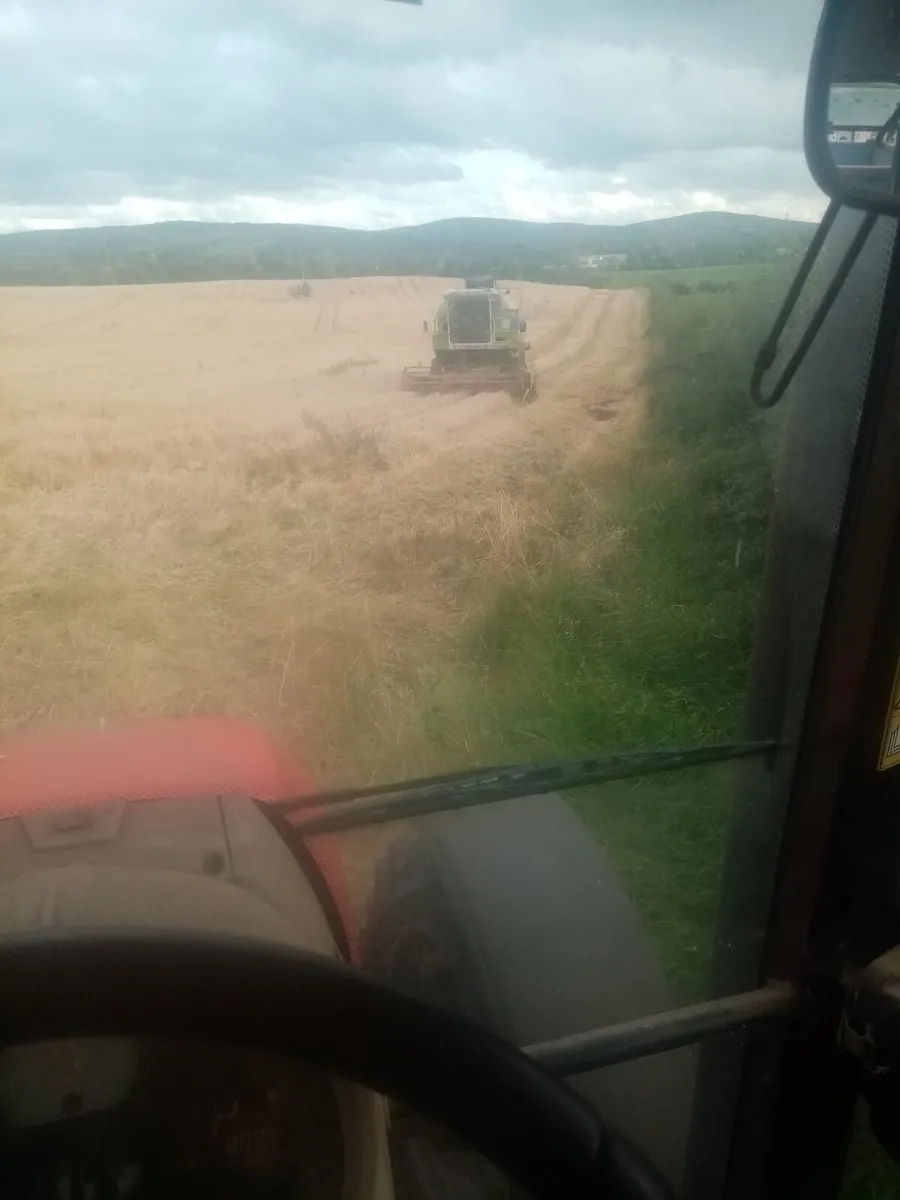 Combine Harvester - Image 4