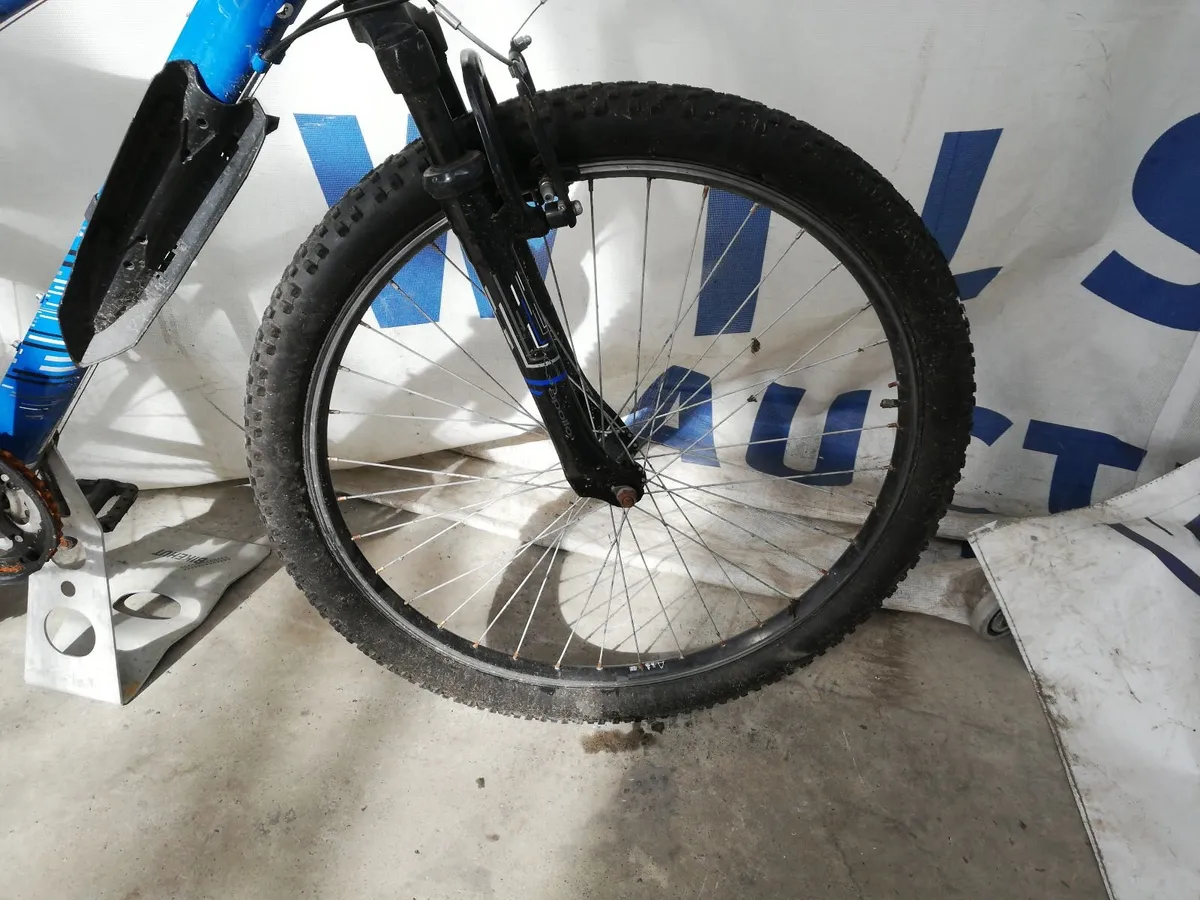 Online Push Bike & Scooter Auction - Image 3