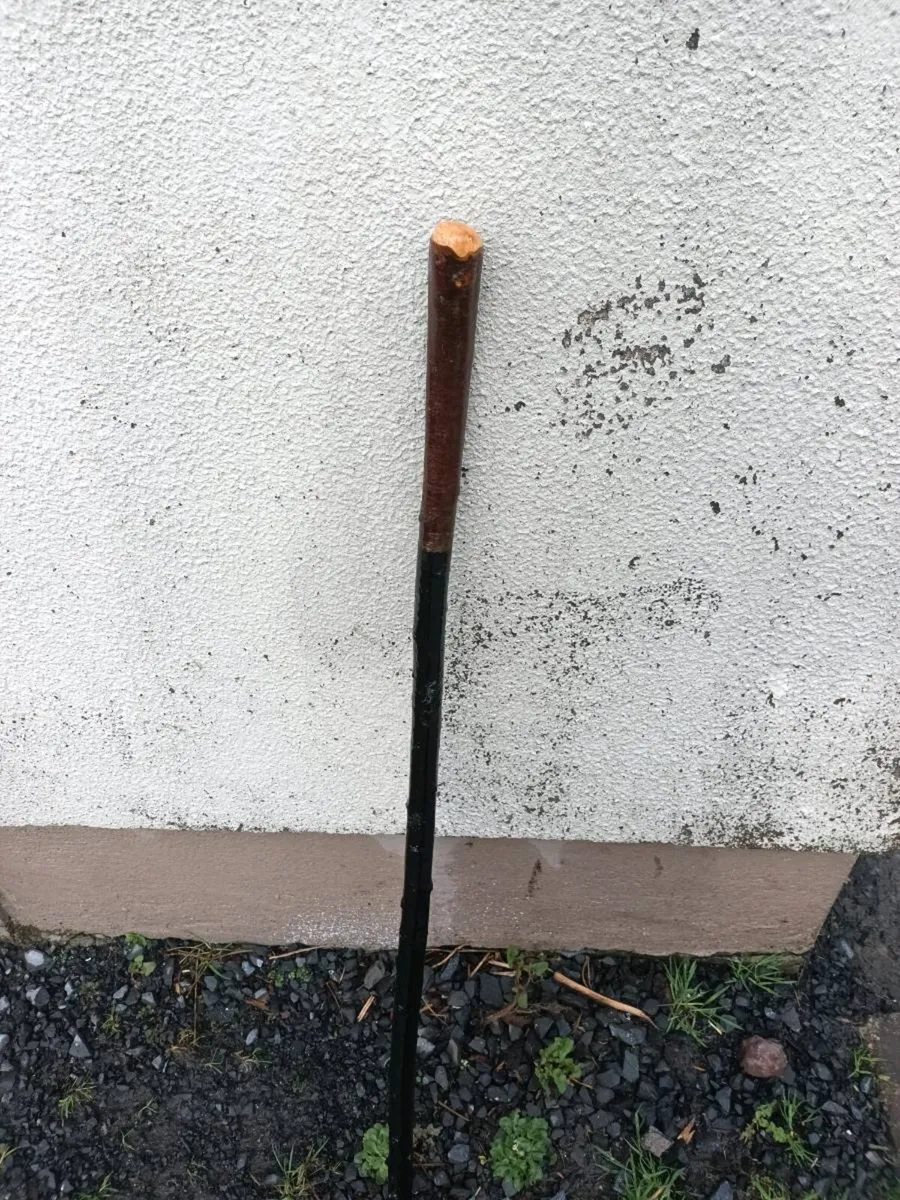 Blackthorn half shepards crook walking stick - Image 1